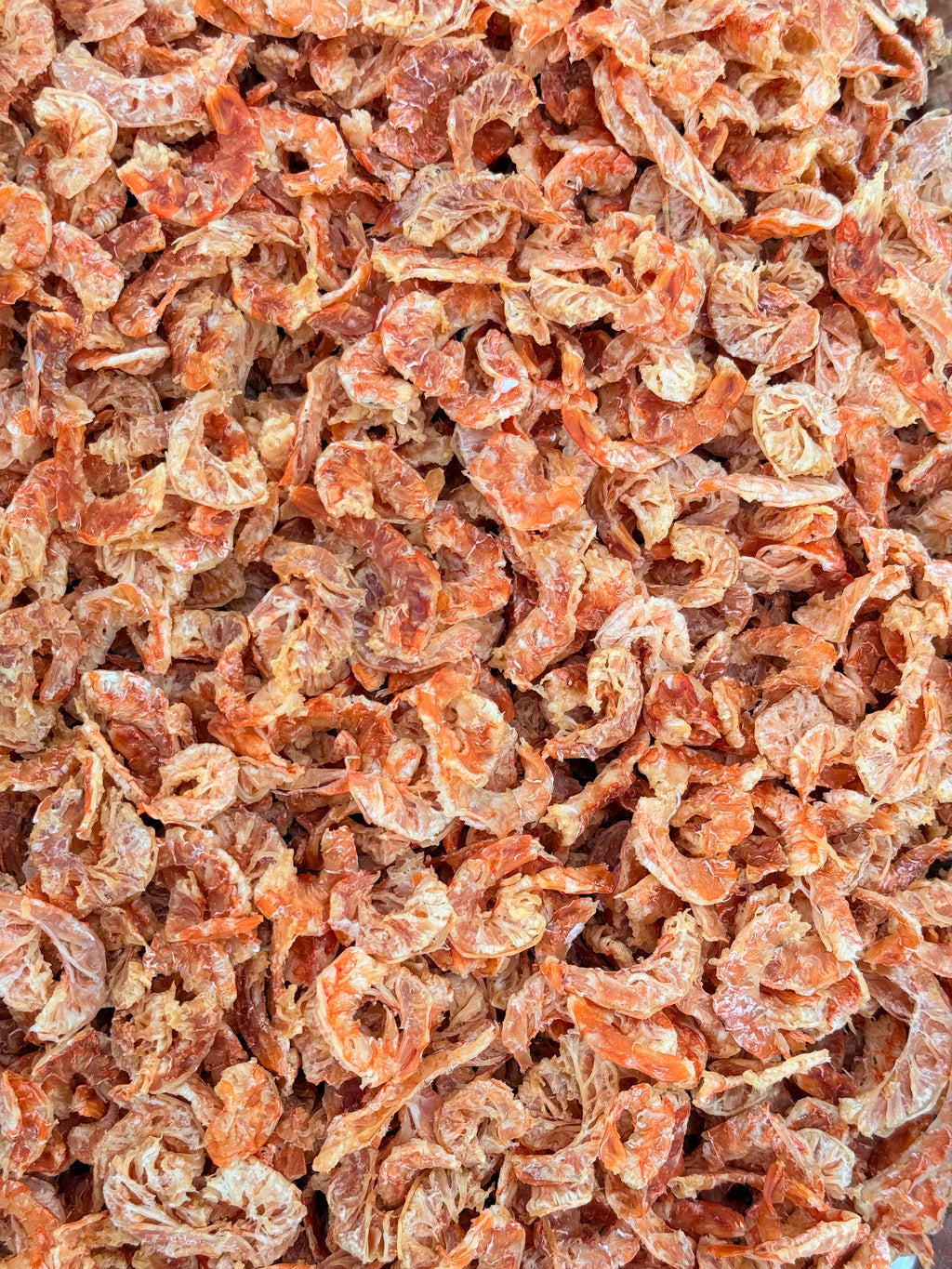 Shrimp