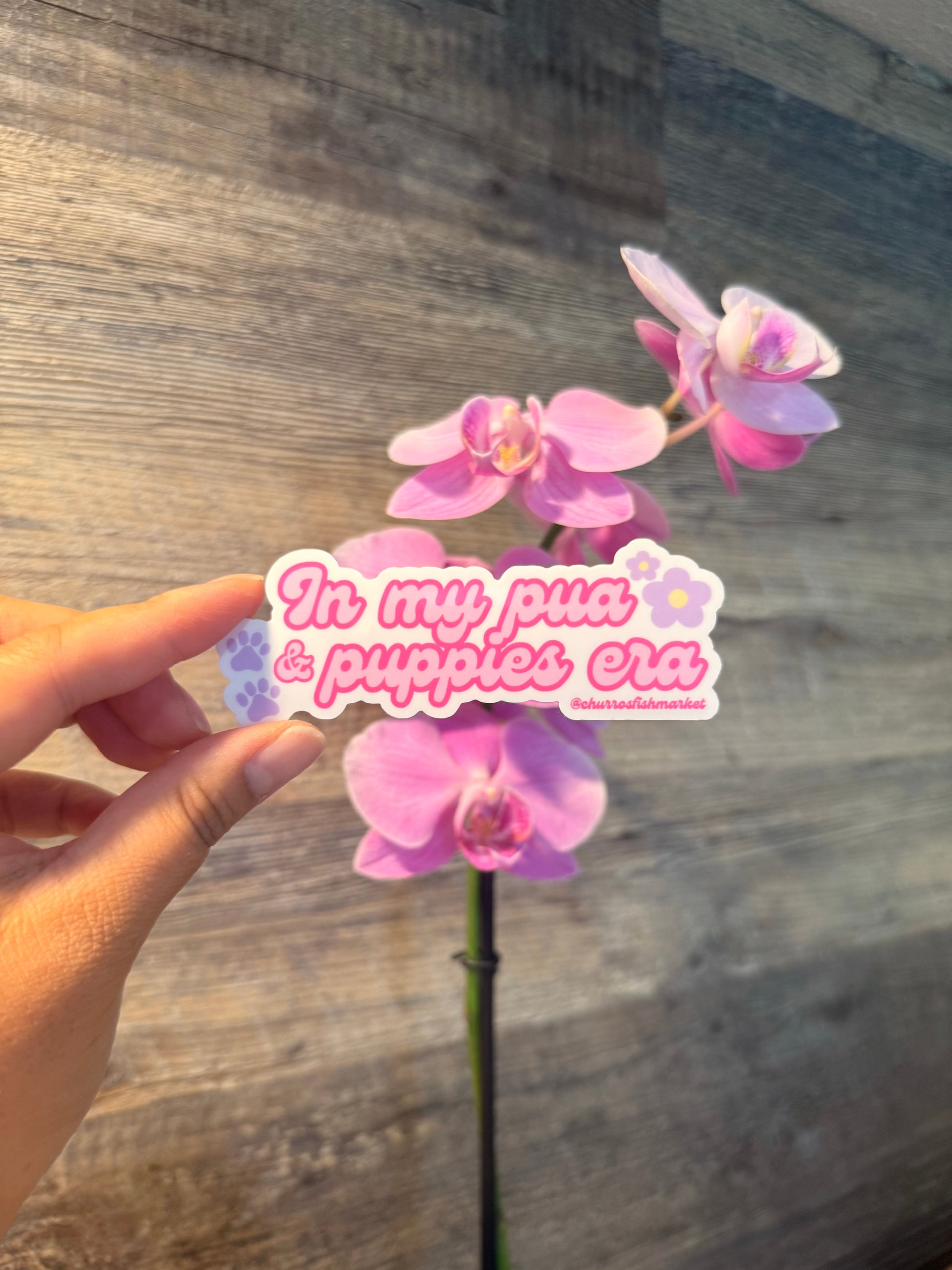 Pua & Puppies Era Sticker