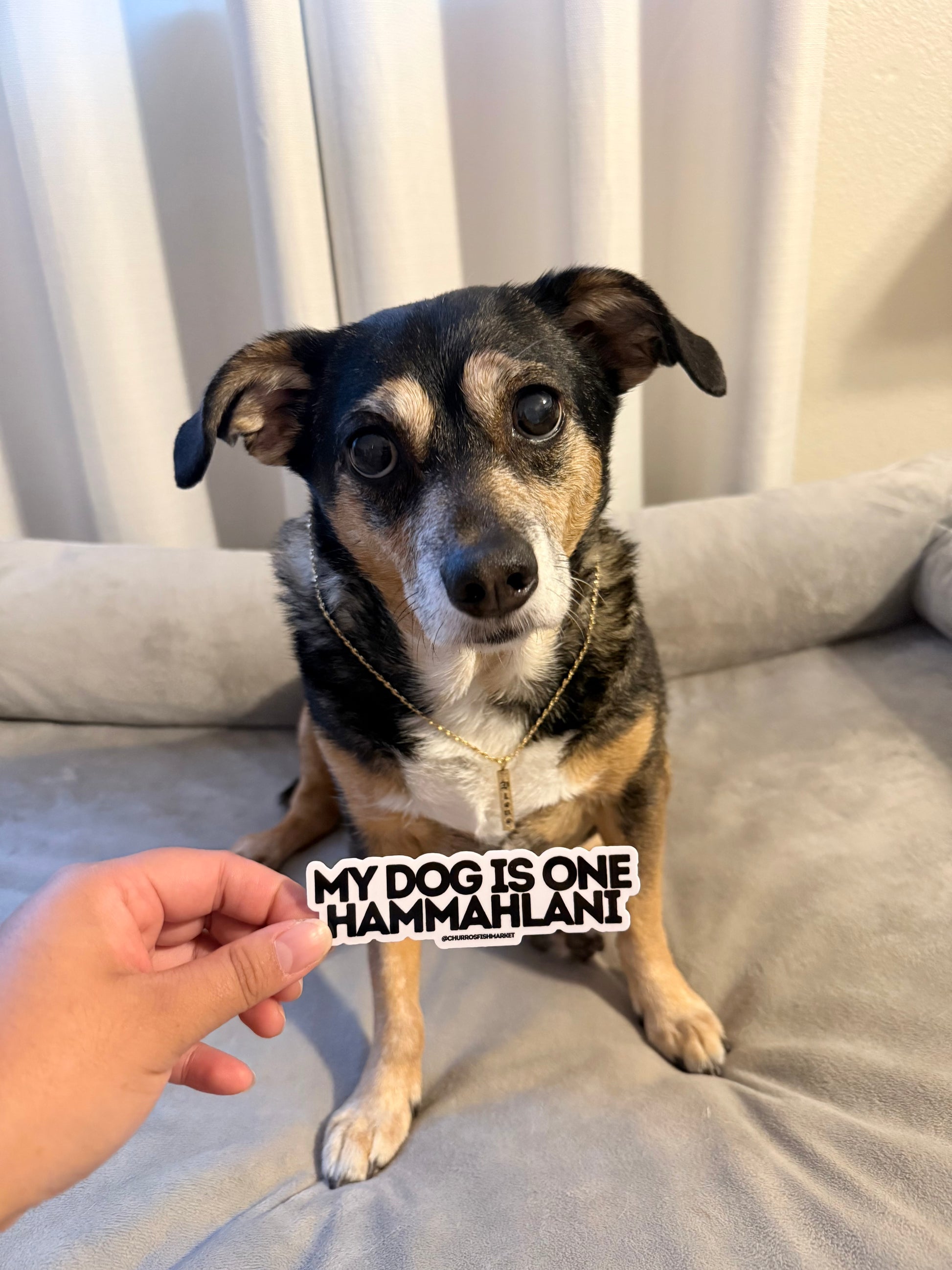 Hammahlani Sticker