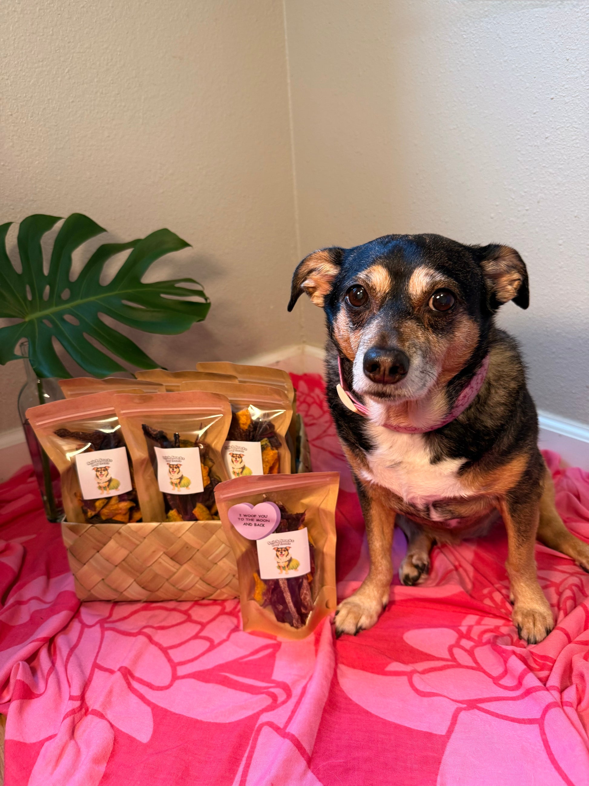 Snick Snacks Hawaiian Style Dog Treats