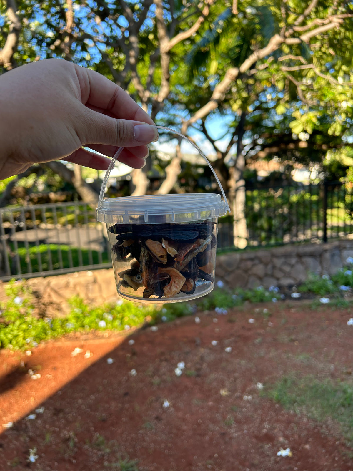 Da Small Kine Bait Bucket