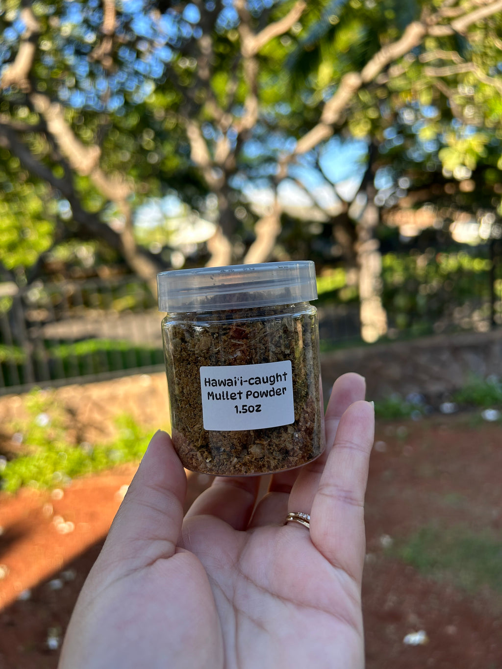 Hawaiian Mullet Powder