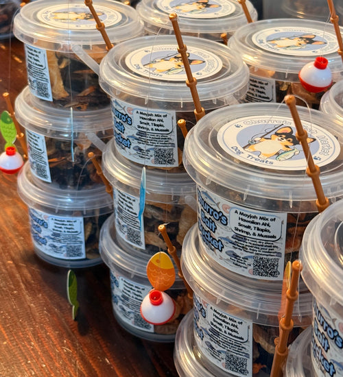Churro’s Bait Bucket